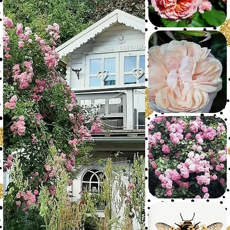 Apartamento Fw Bines Rosengarten *