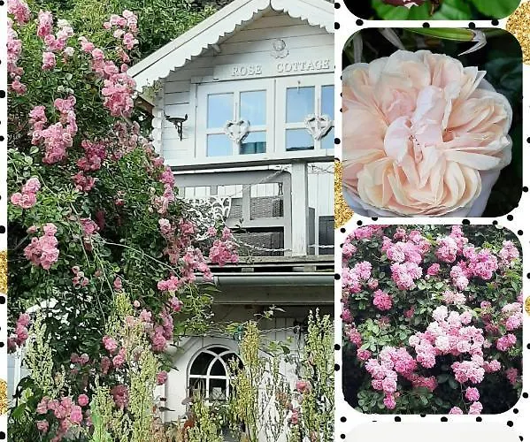 Apartamento Fw Bines Rosengarten *