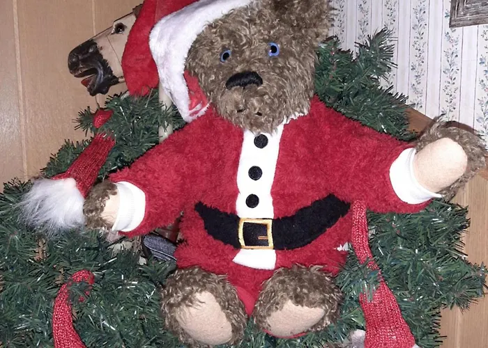 Fw Bines Rosengarten * 黑尔滕