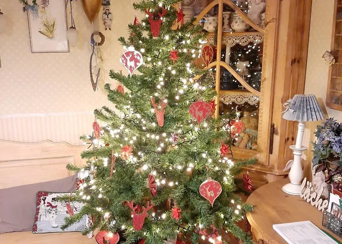 公寓 Fw Bines Rosengarten 黑尔滕